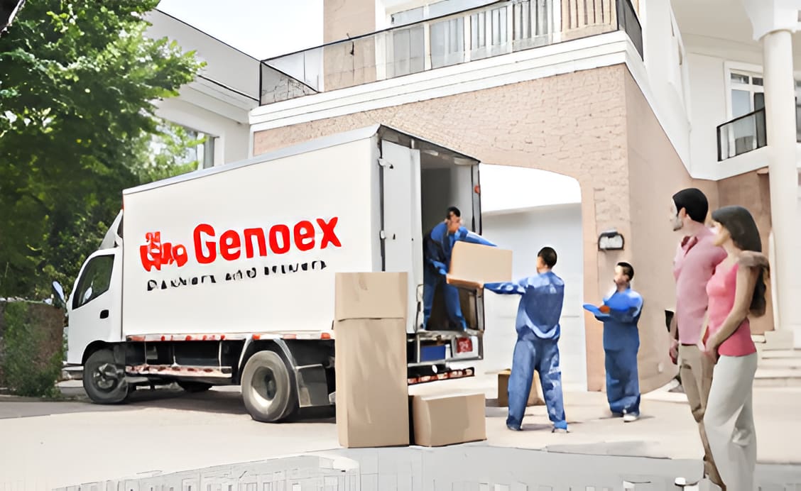 Genoex Packers and Movers