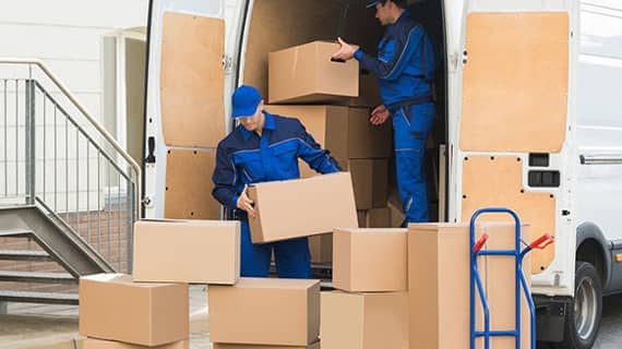 Genoex Packers and Movers